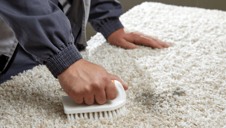 Professional Rug Cleaning Launching Place