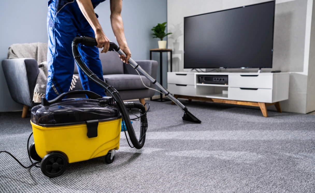 Extract Rug Cleaning Launching Place Contact Office